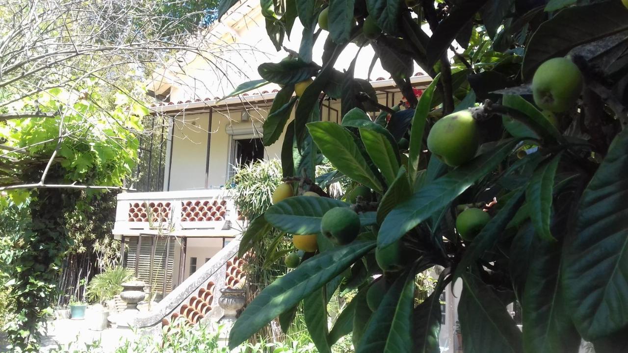 Maison D'Hotes L'Ilot Bambou Авиньон Екстериор снимка